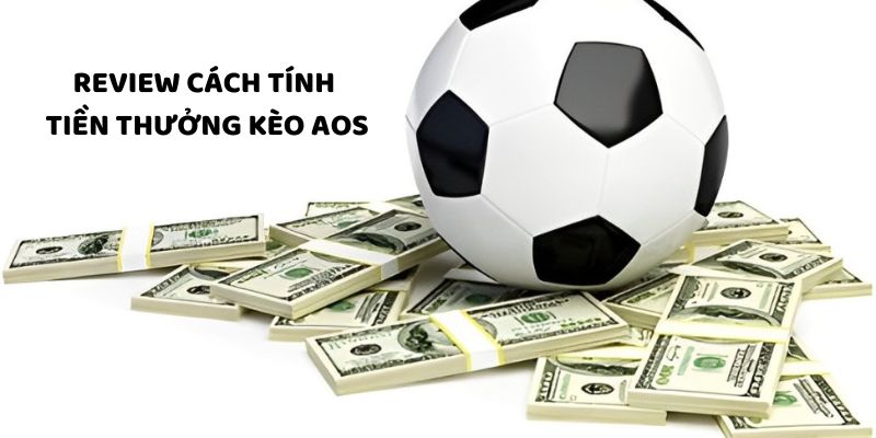 Review cách tính tiền thưởng khi thắng và thua kèo Review cách tính tiền thưởng khi thắng và thua kèo