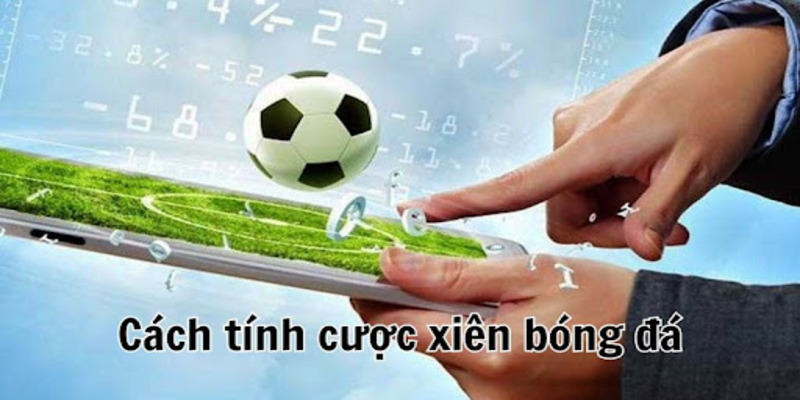 Tìm hiểu cách tính cược xiên Tìm hiểu cách tính cược xiên