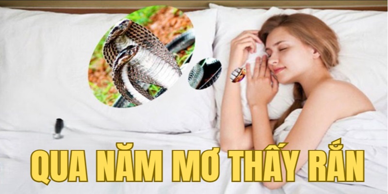 Ý Nghĩa Về Qua Năm Mơ Thấy Con Rắn Ý Nghĩa Về Qua Năm Mơ Thấy Con Rắn