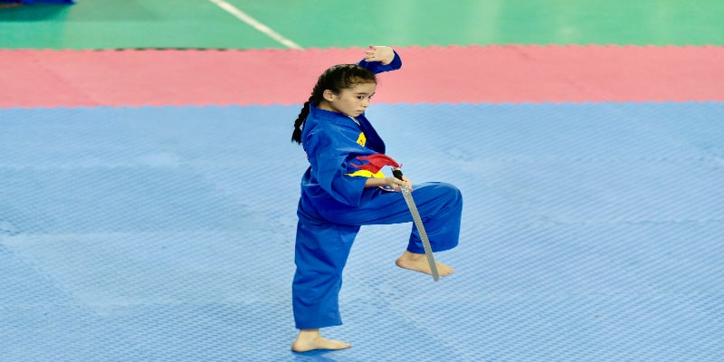 Võ thuật VSPORT là phần không thể thiếu Võ thuật VSPORT là phần không thể thiếu
